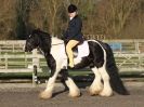 Image 31 in BROADS  EC  DRESSAGE  6  DEC  2014