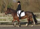 Image 34 in BROADS  EC  DRESSAGE  6  DEC  2014