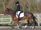 Image 35 in BROADS  EC  DRESSAGE  6  DEC  2014