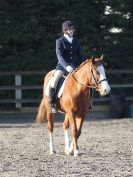 Image 43 in BROADS  EC  DRESSAGE  6  DEC  2014