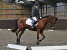 Image 39 in DRESSAGE AT WORLD HORSE WELFARE. 5 MARCH 2016