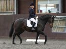 Image 42 in DRESSAGE AT WORLD HORSE WELFARE. 5 MARCH 2016