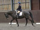 Image 51 in DRESSAGE AT WORLD HORSE WELFARE. 5 MARCH 2016