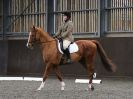 Image 56 in DRESSAGE AT WORLD HORSE WELFARE. 5 MARCH 2016