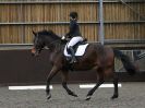 Image 58 in DRESSAGE AT WORLD HORSE WELFARE. 5 MARCH 2016