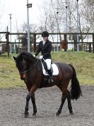 Image 78 in DRESSAGE AT WORLD HORSE WELFARE. 5 MARCH 2016