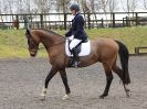 Image 79 in DRESSAGE AT WORLD HORSE WELFARE. 5 MARCH 2016