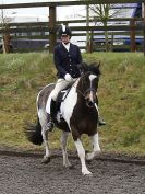 Image 81 in DRESSAGE AT WORLD HORSE WELFARE. 5 MARCH 2016