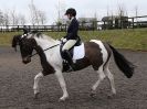 Image 82 in DRESSAGE AT WORLD HORSE WELFARE. 5 MARCH 2016