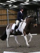 Image 98 in DRESSAGE AT WORLD HORSE WELFARE. 5 MARCH 2016