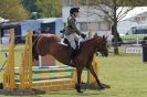 Image 44 in HOUGHTON INTERNATIONAL PONY CLUB TEAM CHALLENGE (AND SOME DOG PICS )