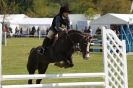 Image 55 in HOUGHTON INTERNATIONAL PONY CLUB TEAM CHALLENGE (AND SOME DOG PICS )