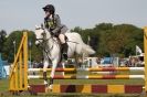 Image 74 in HOUGHTON INTERNATIONAL PONY CLUB TEAM CHALLENGE (AND SOME DOG PICS )