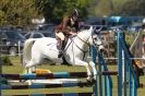 Image 81 in HOUGHTON INTERNATIONAL PONY CLUB TEAM CHALLENGE (AND SOME DOG PICS )