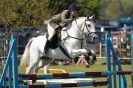 Image 82 in HOUGHTON INTERNATIONAL PONY CLUB TEAM CHALLENGE (AND SOME DOG PICS )