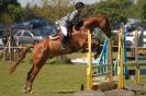 Image 83 in HOUGHTON INTERNATIONAL PONY CLUB TEAM CHALLENGE (AND SOME DOG PICS )