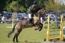 Image 84 in HOUGHTON INTERNATIONAL PONY CLUB TEAM CHALLENGE (AND SOME DOG PICS )