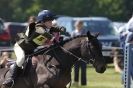 Image 85 in HOUGHTON INTERNATIONAL PONY CLUB TEAM CHALLENGE (AND SOME DOG PICS )