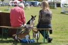 Image 86 in HOUGHTON INTERNATIONAL PONY CLUB TEAM CHALLENGE (AND SOME DOG PICS )