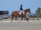 Image 182 in BROADLAND EQUESTRIAN CENTRE. DRESSAGE. 11 AUG 2018