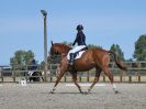 Image 184 in BROADLAND EQUESTRIAN CENTRE. DRESSAGE. 11 AUG 2018