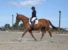 Image 185 in BROADLAND EQUESTRIAN CENTRE. DRESSAGE. 11 AUG 2018