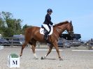 Image 186 in BROADLAND EQUESTRIAN CENTRE. DRESSAGE. 11 AUG 2018