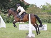 Image 117 in BECCLES AND BUNGAY RIDING CLUB. 19 AUGUST 2018