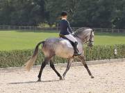 Image 401 in OPTIMUM EVENT MANAGEMENT. DRESSAGE. EASTON PARK STUD. 25TH AUGUST 2018