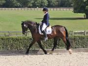 Image 418 in OPTIMUM EVENT MANAGEMENT. DRESSAGE. EASTON PARK STUD. 25TH AUGUST 2018