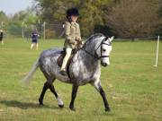 Image 61 in IPSWICH HORSE SOCIETY SPRING SHOW. 22  APRIL 2019