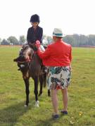 Image 65 in IPSWICH HORSE SOCIETY SPRING SHOW. 22  APRIL 2019