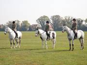 Image 69 in IPSWICH HORSE SOCIETY SPRING SHOW. 22  APRIL 2019