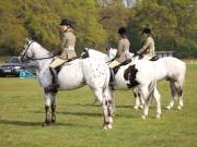 Image 70 in IPSWICH HORSE SOCIETY SPRING SHOW. 22  APRIL 2019