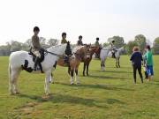 Image 73 in IPSWICH HORSE SOCIETY SPRING SHOW. 22  APRIL 2019