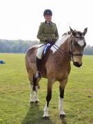 Image 79 in IPSWICH HORSE SOCIETY SPRING SHOW. 22  APRIL 2019