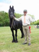 Image 11 in BERGH APTON HORSE SHOW.