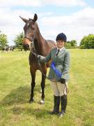 Image 15 in BERGH APTON HORSE SHOW.