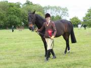 Image 7 in BERGH APTON HORSE SHOW.