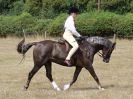 Image 63 in SUFFOLK RIDING CLUB. 4 AUGUST 2018. SHOWING RINGS