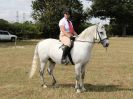 Image 72 in SUFFOLK RIDING CLUB. 4 AUGUST 2018. SHOWING RINGS