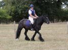 Image 80 in SUFFOLK RIDING CLUB. 4 AUGUST 2018. SHOWING RINGS