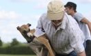 Image 92 in OXFORD PEDIGREE WHIPPET RACING CLUB OPEN EVENT